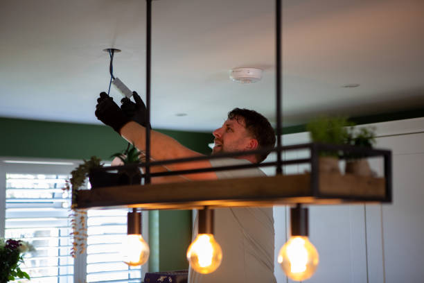 Best Electrical Troubleshooting Services  in Fowlerville, MI