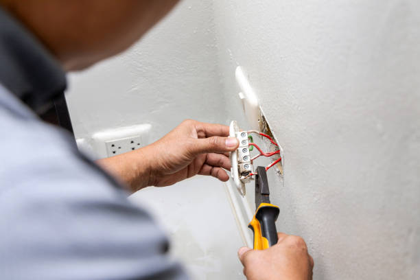 Best Electrician Near Me  in Fowlerville, MI