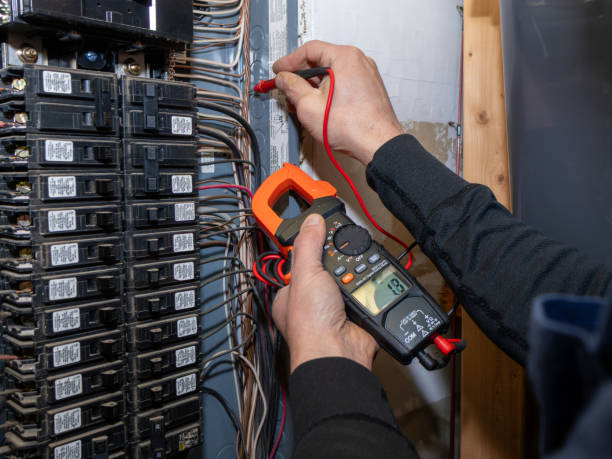 Best Electrical Upgrades for Homes  in Fowlerville, MI